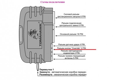 сига.jpg