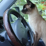 Аватара пользователя