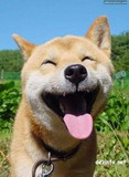 USER_AVATAR