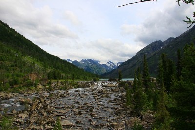 IMG_4446-1.jpg