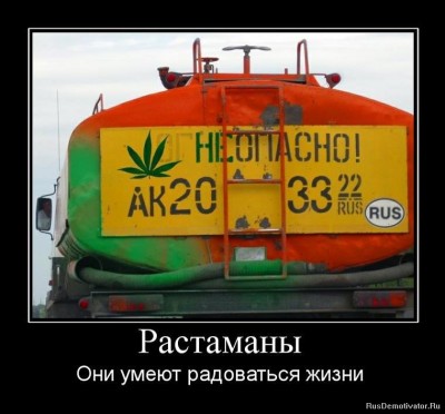 05.jpg