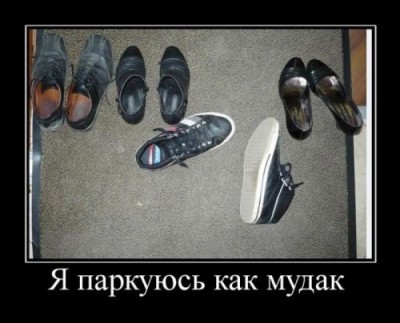 x_ea755339.jpg
