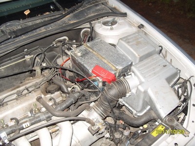 S1052317.JPG
