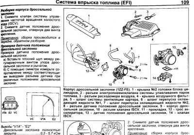 дпдз.JPG