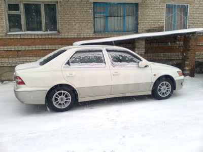 32198401.jpg