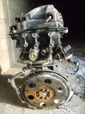 Resize of S5006760.JPG
