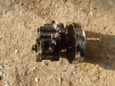 Resize of S5006766.JPG