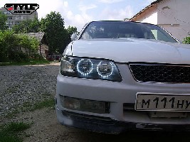 3269431.jpg