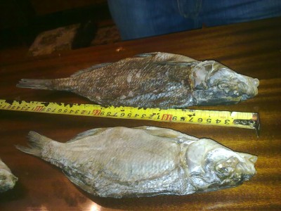 220120121221.jpg
