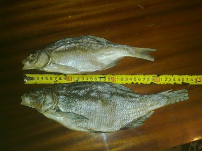 220120121223.jpg
