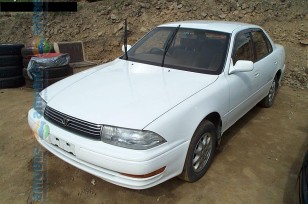 pic1.jpg