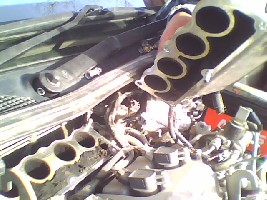 IMG0011A.jpg