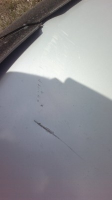 2012-05-03-026.jpg