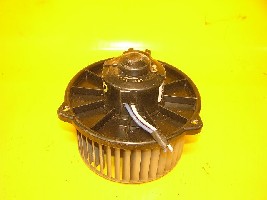 motor-1.jpg