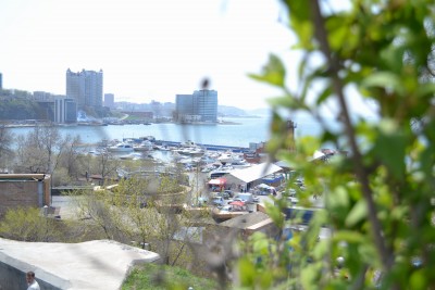 DSC_0045+.jpg