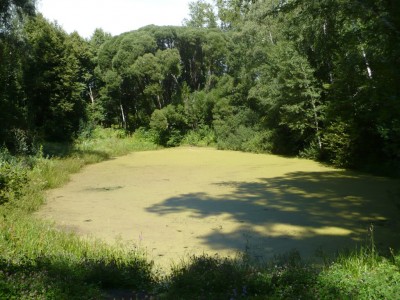P1020006.JPG