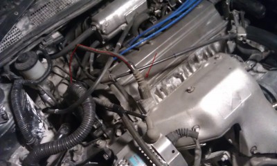IMAG0280.jpg