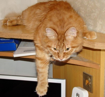 DSC02.jpg