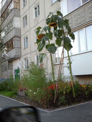 2012-09-28 17.06.37.jpg