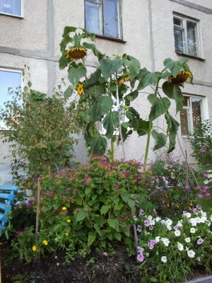 2012-09-28 17.06.48.jpg