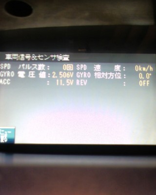 SP_A0281.jpg