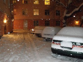 DSCF0142.jpg
