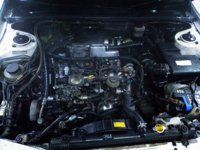 WP_000820.jpg