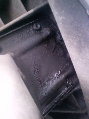 IMG10165.jpg