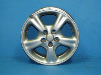 IMG 0925.jpg