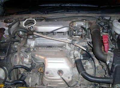 clearkol_3.jpg