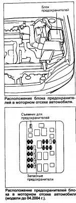 мот.JPG