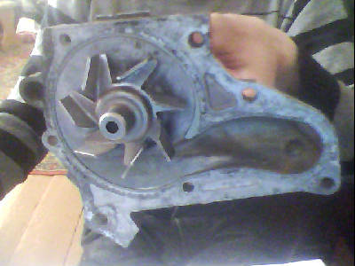 test_31231851182.jpg
