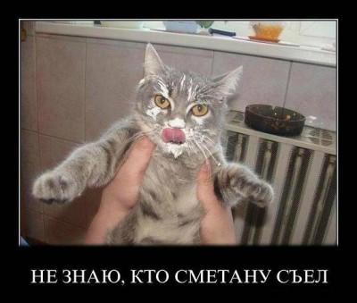 getImage (43).jpg