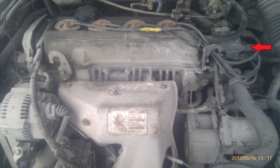 IMAG00510.jpg