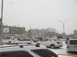 P1010017.jpg
