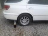 20130520_055753.jpg
