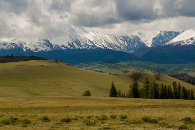6H5B9732-1 800600.jpg