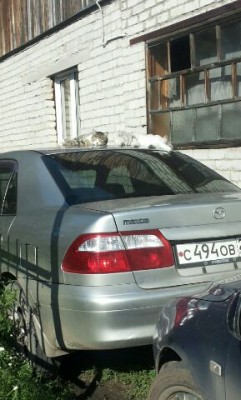 Катьки.jpg