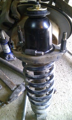 IMAG0309.jpg