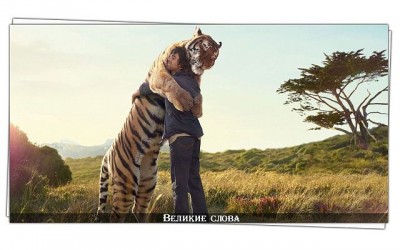 getImage (2).jpg