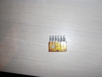 PB260020.JPG
