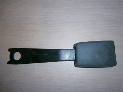 PB260019.JPG