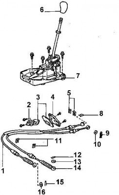 foto-7a-2xx.jpg