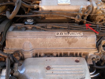 DSCN2882.JPG