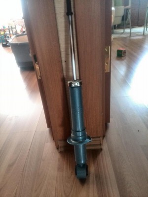 nsf9100.JPG
