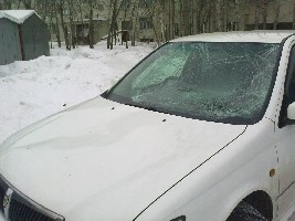 12032010086.jpg