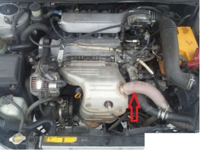 Vista D4.jpg