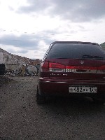 DSC00240.jpg
