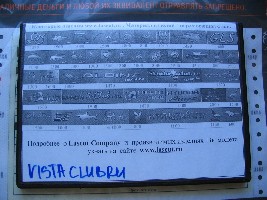 IMG_0310.jpg