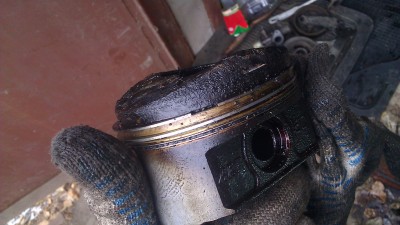 IMAG1384.jpg